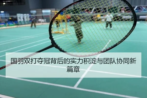 国羽双打夺冠背后的实力积淀与团队协同新篇章