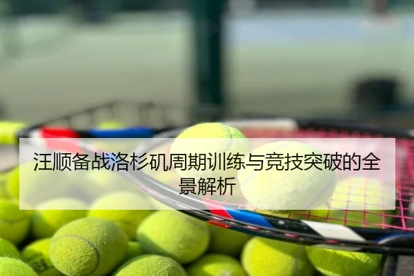 汪顺备战洛杉矶周期训练与竞技突破的全景解析